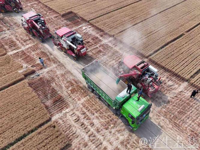 “三夏”中的新型生产力